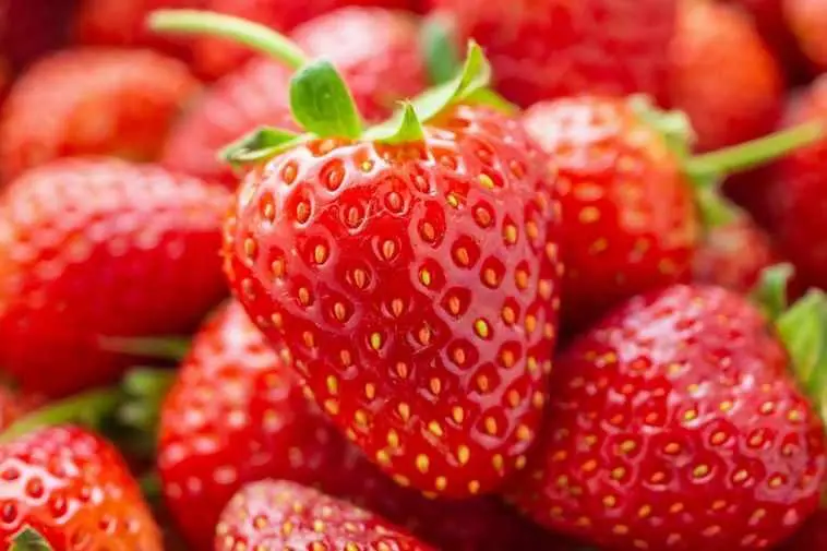 gambar strawberry