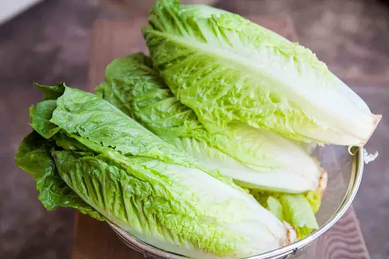 lettuce adalah